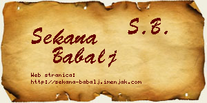 Sekana Babalj vizit kartica